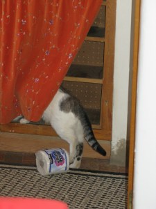 anymore of these guys