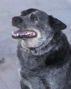 my name is Sade email