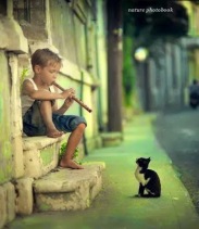 flute the cat