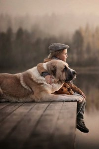 dog n boy on dock