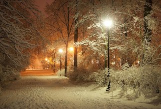magic of a snowy night