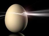 egg light