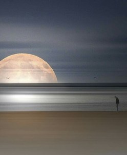 beach-moon