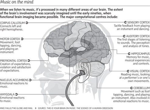 brain-and-music