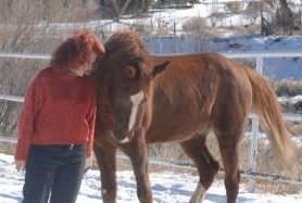 sweet talking Klassic larg